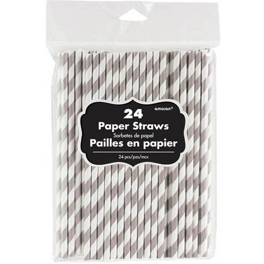 Paper Straws Silver 24Pk