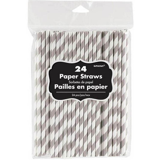 Paper Straws Silver 24Pk